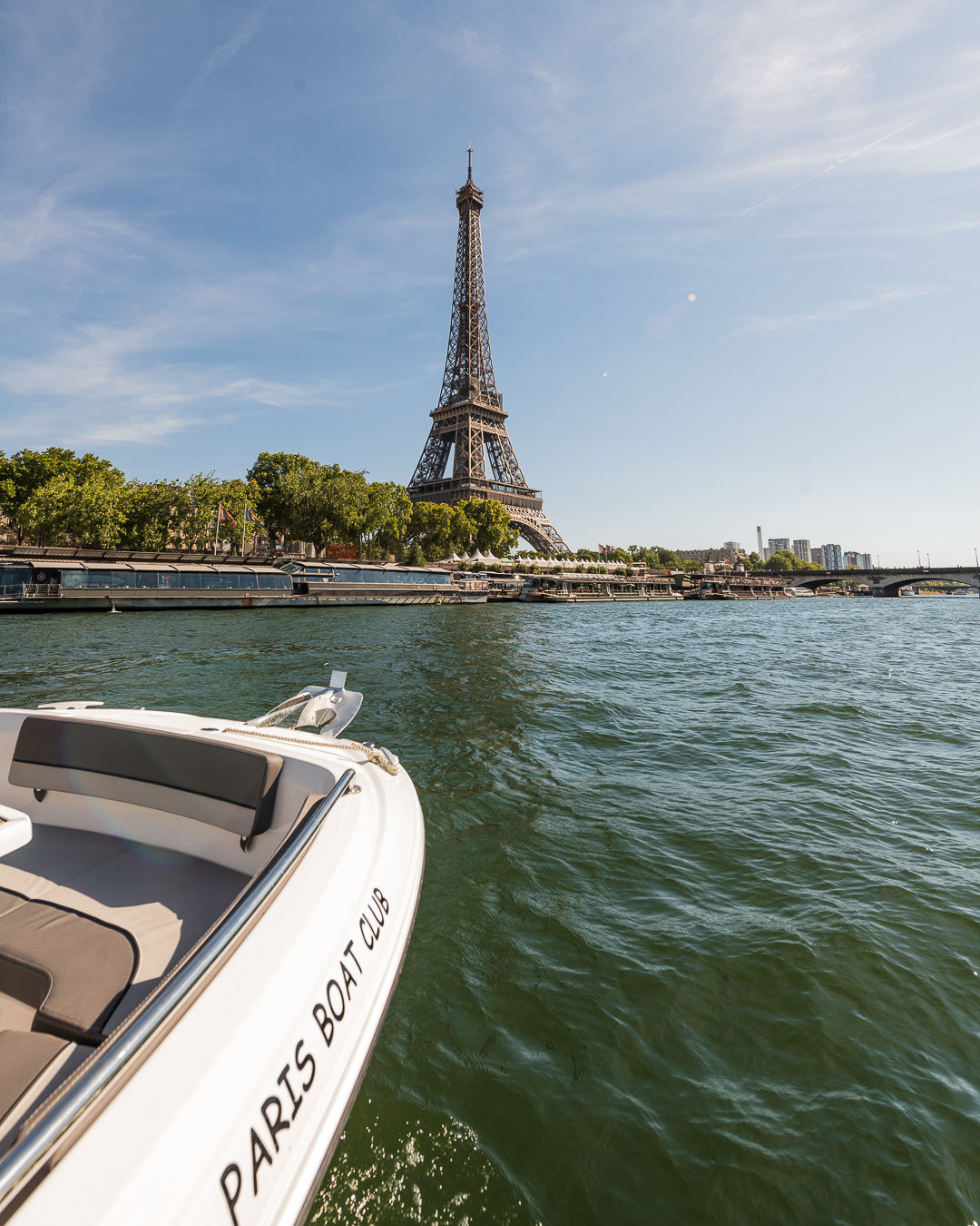 Crucero en barco privado por el Sena, París y la Torre Eiffel